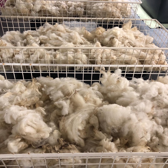 Workshop “wat kan ik met die vacht?”