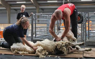 Workshop Wol hanteren en -classificeren – 28 maart 2026