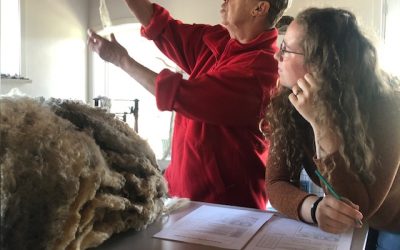 Wolkeuring op de Dag van de Wol