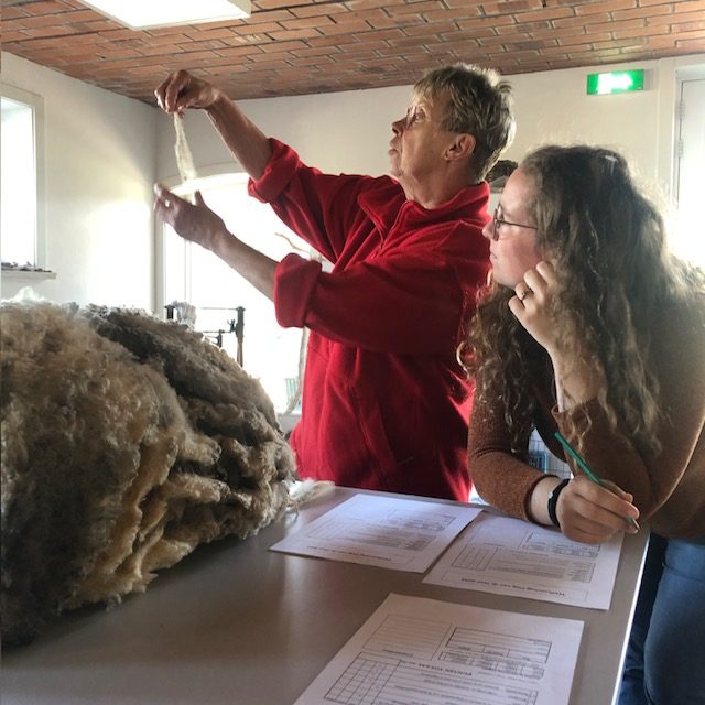 Wolkeuring op de Dag van de Wol
